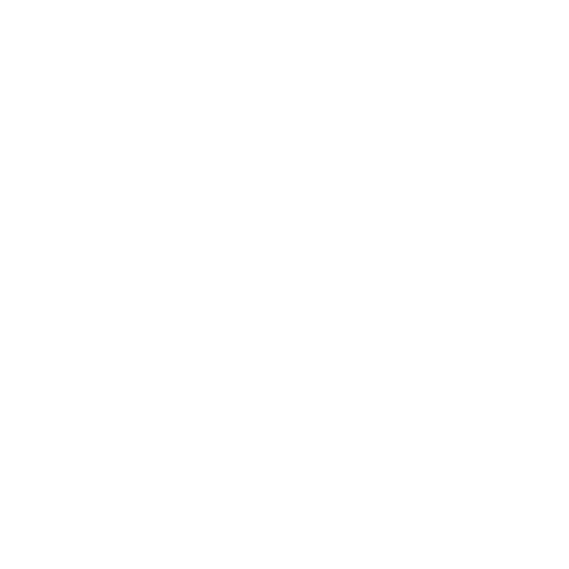 MEGA insurance